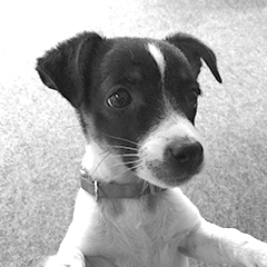 Ella Lässig